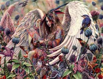 Corrie Scollard