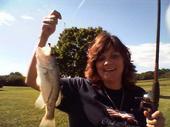 Diane Witmer
