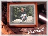 Violet Miller