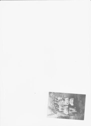 Robert Mount