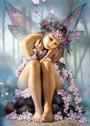 Tracy Doner