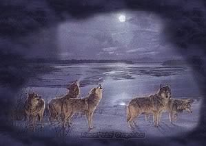 Beth Lawrence