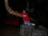 Darline Jaco