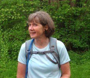 Terri Hamlon