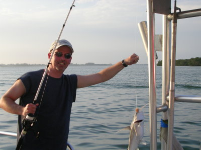 David Finlay