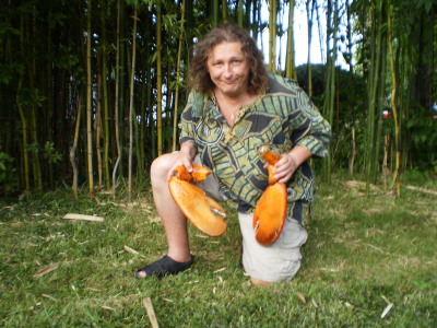 Andrew Krichak