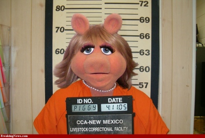 Michele Gjerazi
