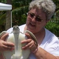Ruth Logan