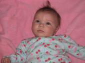 Dawn Rose