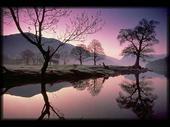 Robin Unwin