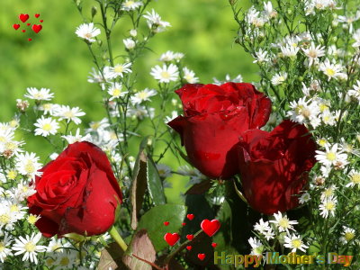 Suresh Sharma