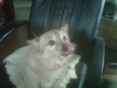 Teddy Manderbach