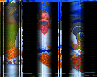 Scott Gonzalez