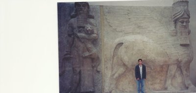 Arash Razavi