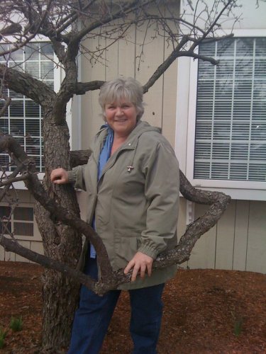 Cathy Hutchins