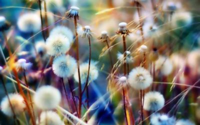 Lori Tousey