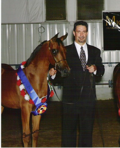 David Sepulveda