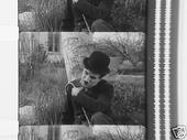 Joey Fulford
