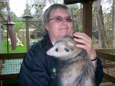 Lynn Wersel
