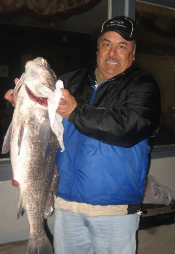 Ricardo Benavides