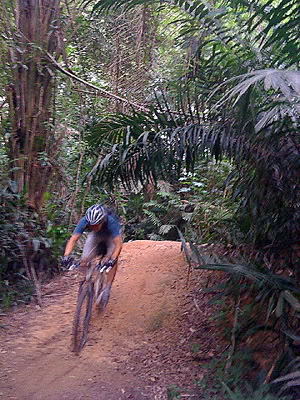 David Rodriguez
