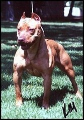 Tyson Campbell