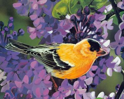 Marjorie Moser