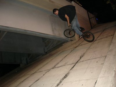 Andrew Moll