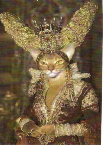 Joann Rich