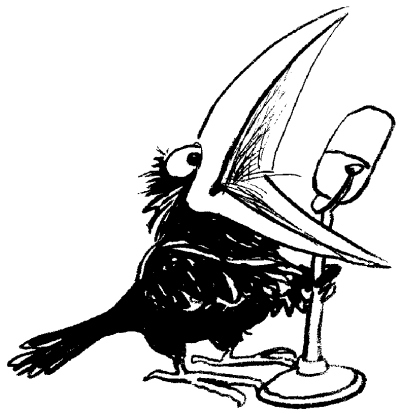 Jerome Sparrow