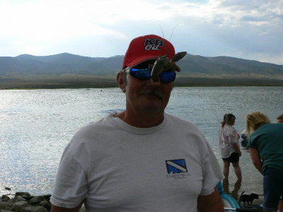 Shaun Sorenson