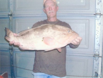 Howard Pellicer