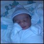 Wylibra Gray