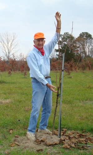Harold Green