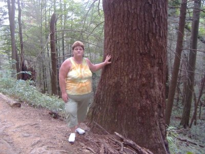 Becky Scarlato