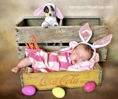 Tammy Gorel