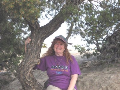Lisa Green