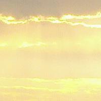 Bess Licht