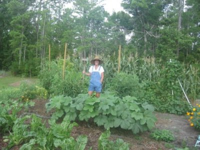 Brenda Sauer