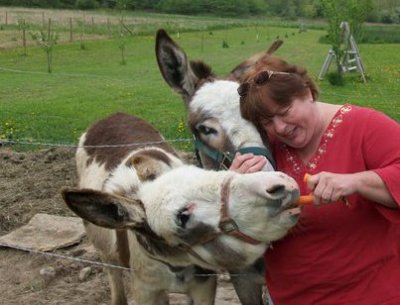 Catherine Herne