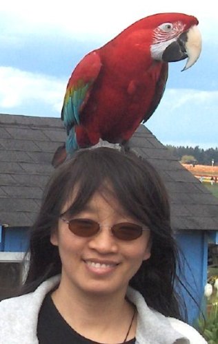 Cheng Sun