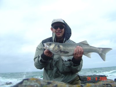 Stephen Ryan