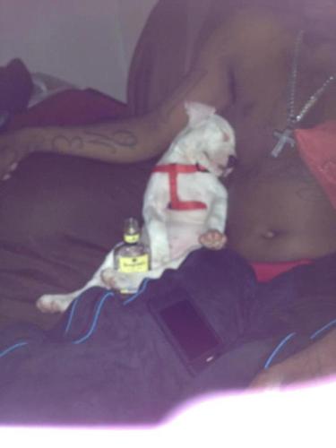 Jamia Horne