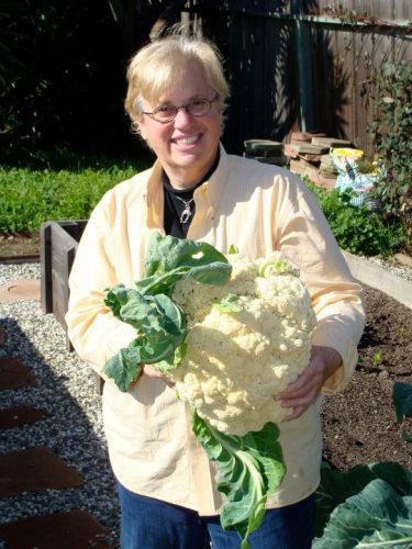 Frances Wincek