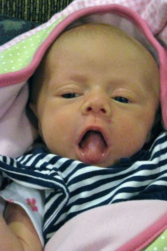 Emery Barrus