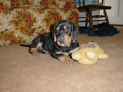 Lucille Piper