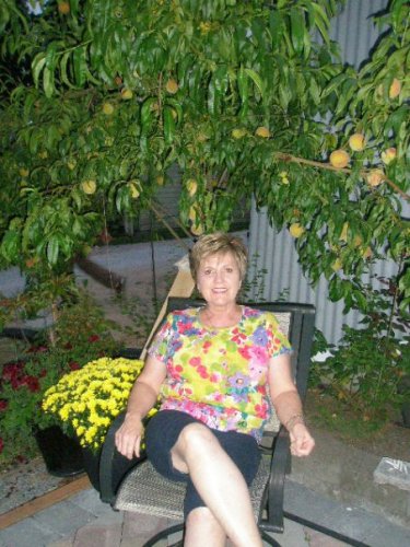 Laurie Gammill