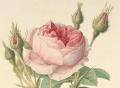 Margaret Harpool