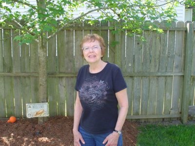 Judy Trader