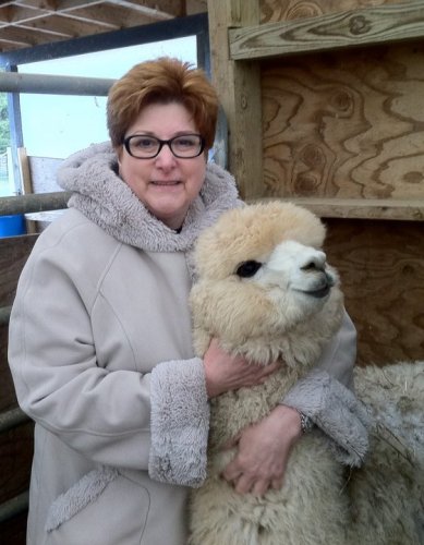 Lynn Perlmutter